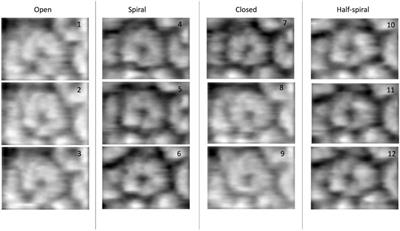 Reconstruction of Three-Dimensional Conformations of Bacterial ClpB from High-Speed Atomic-Force-Microscopy Images